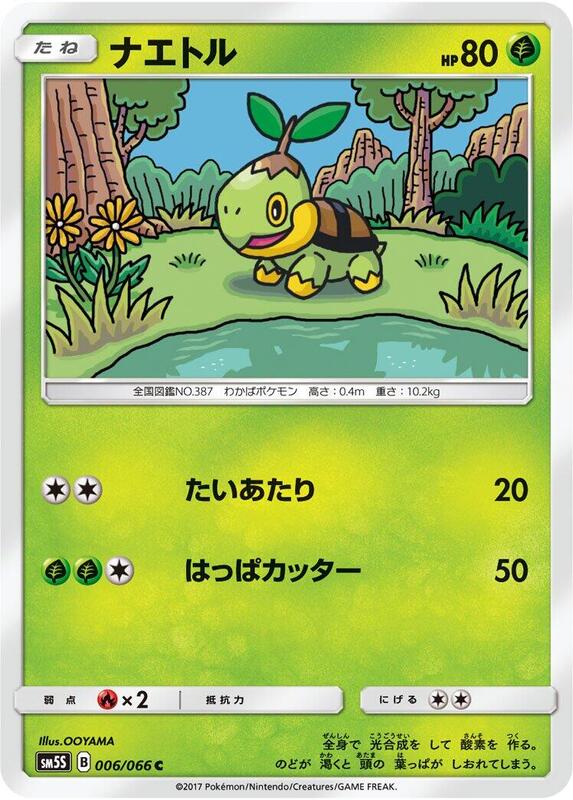 Turtwig - 006/066
