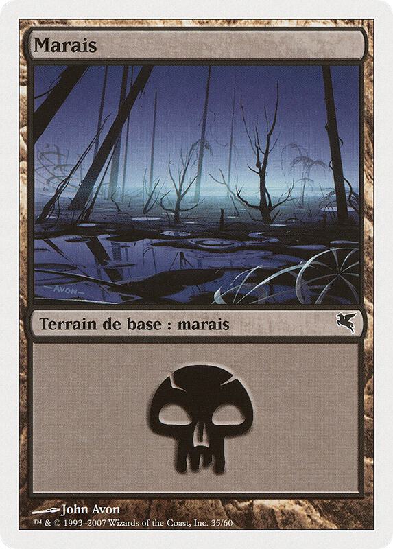 Swamp (French) - "Marais" (E35)