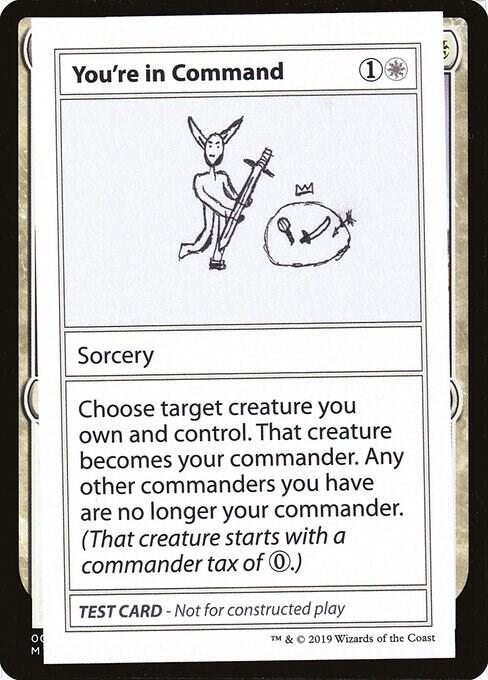 You're In Command (No PW Symbol)