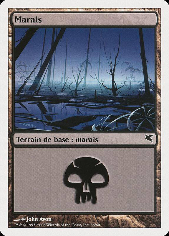Swamp (French) - "Marais" (A36)