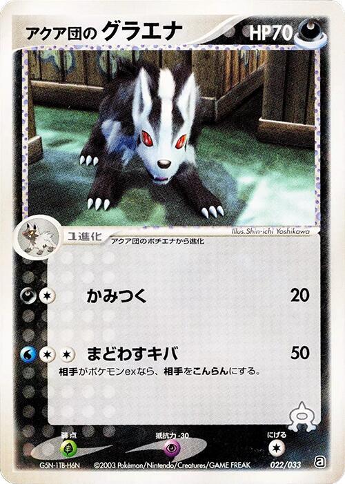 Team Aqua's Mightyena - 022/033