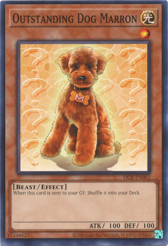 Outstanding Dog Marron