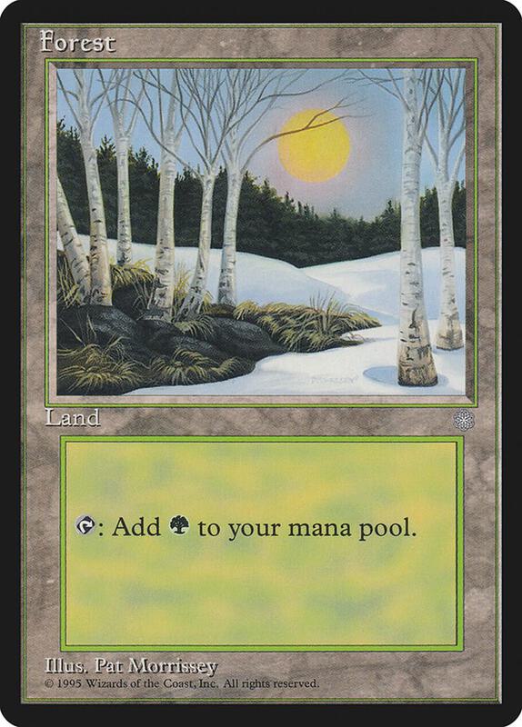 Forest (328)
