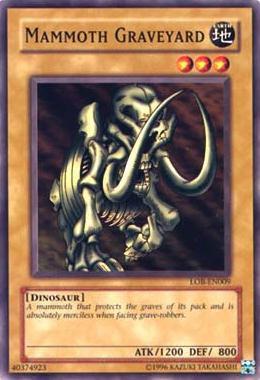 Mammoth Graveyard