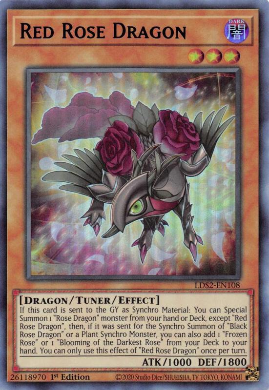 Red Rose Dragon (Blue)