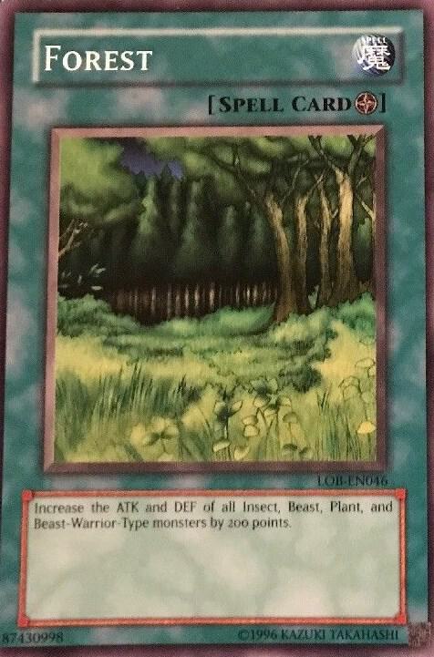 Forest