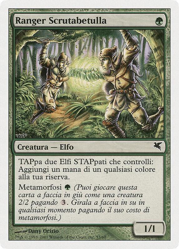 Birchlore Rangers (Italian) - "Ranger Scrutabetulla" (B53)