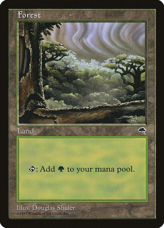 Forest (Cloudy)